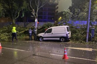 Queda de arvores braga atinge carro