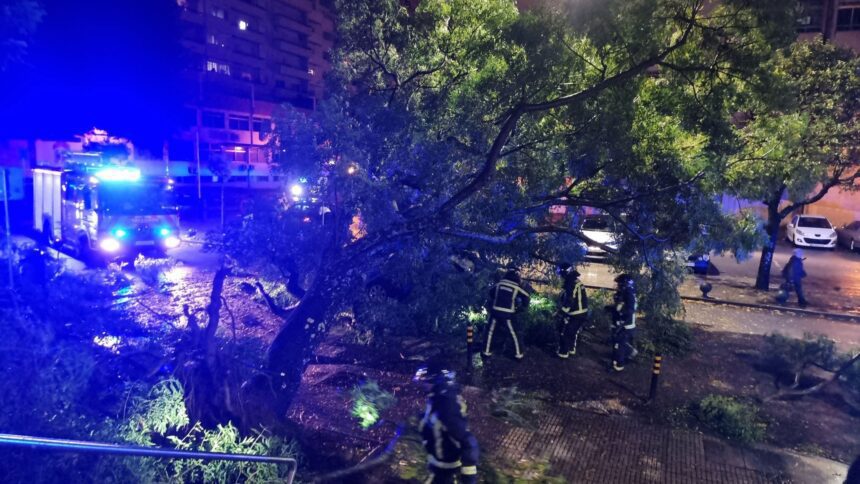Braga: Quedas de árvore e inundações marcam princípio de noite Inundacoes queda de arvores braga Kirk