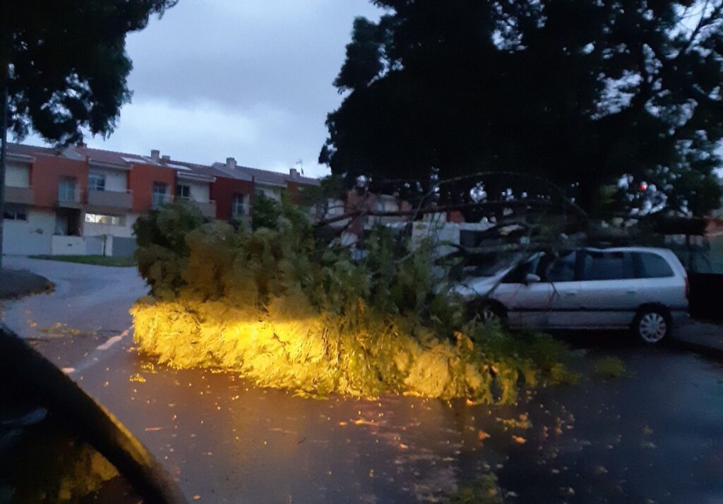 Braga: Quedas de árvore e inundações marcam princípio de noite Inundacoes queda de arvores braga Kirk