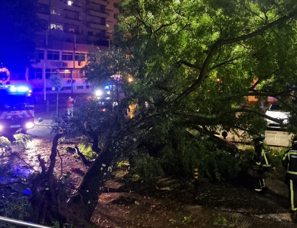Braga: Quedas de árvore e inundações marcam princípio de noite Inundacoes queda de arvores braga Kirk