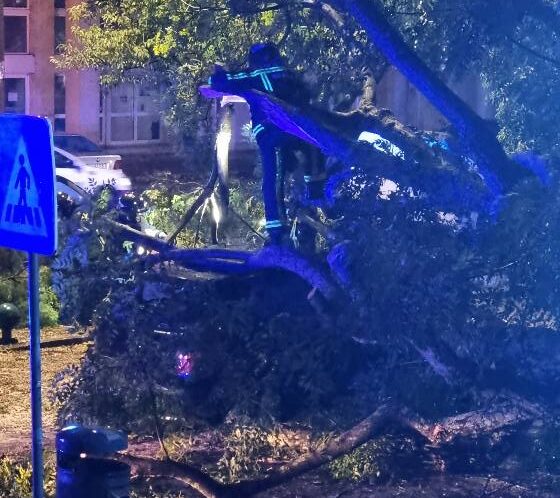 Braga: Quedas de árvore e inundações marcam princípio de noite Inundacoes queda de arvores braga Kirk