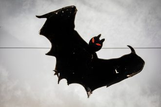 halloween barcelos arcos de valdevez