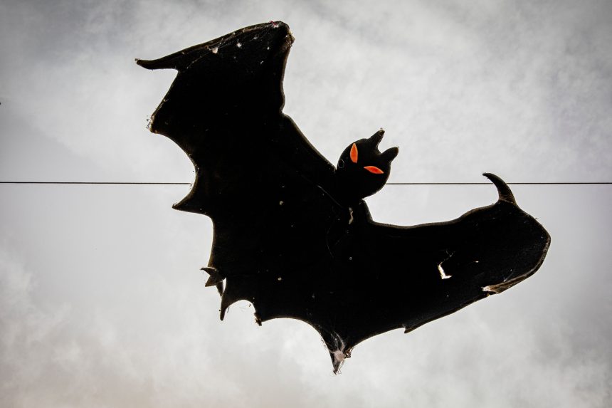 halloween barcelos arcos de valdevez