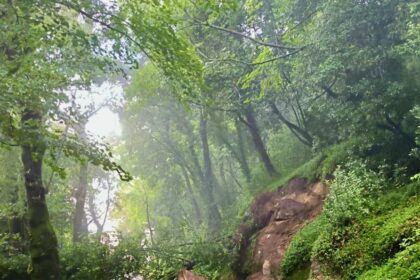 Bom Jesus Braga derrocada