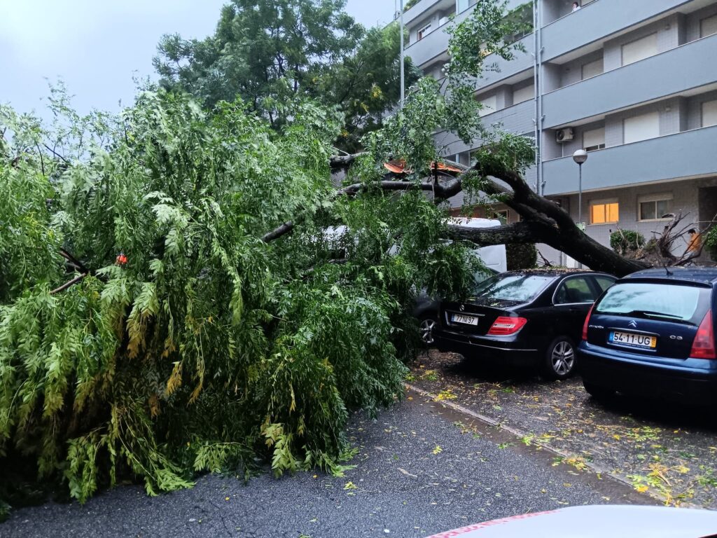 Braga: Falhas de eletricidade, quedas de árvores e caos no trânsito queda de arvore kirk tempestade