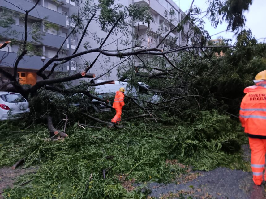 Braga: Falhas de eletricidade, quedas de árvores e caos no trânsito queda arvore braga kirk