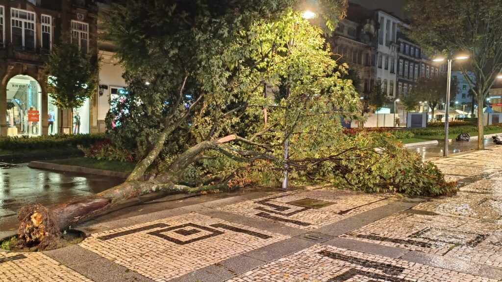 Braga: Quedas de árvore e inundações marcam princípio de noite Inundacoes queda de arvores braga Kirk