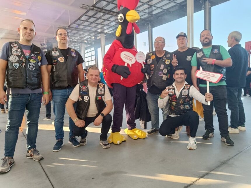 Barcelinhos