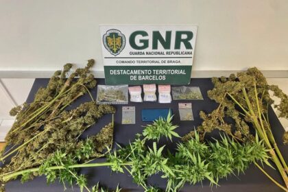 Esposende droga detidos