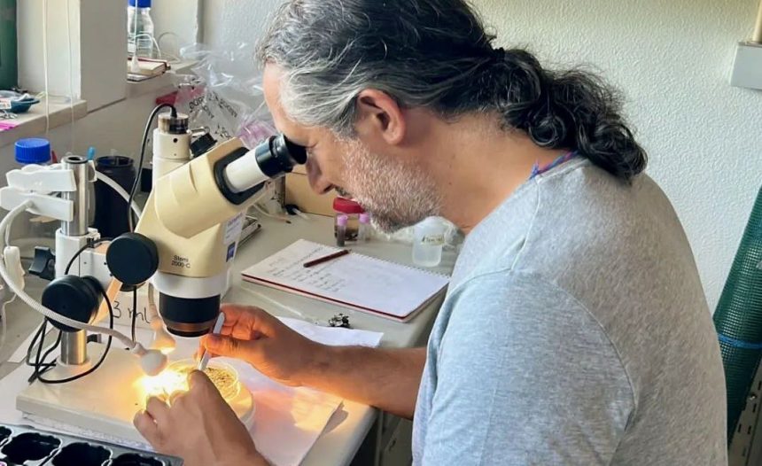 investigador uminho