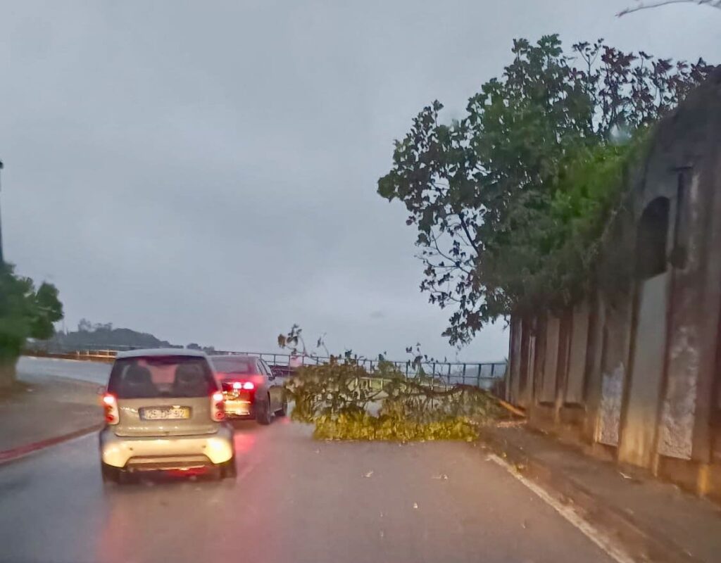 Braga: Falhas de eletricidade, quedas de árvores e caos no trânsito quedas de arvore braga esposende barcelos 10