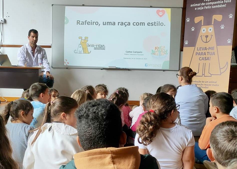 Rafeiro cao escola