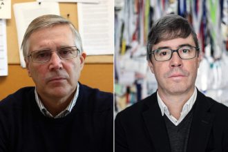 UMinho cientistas citados