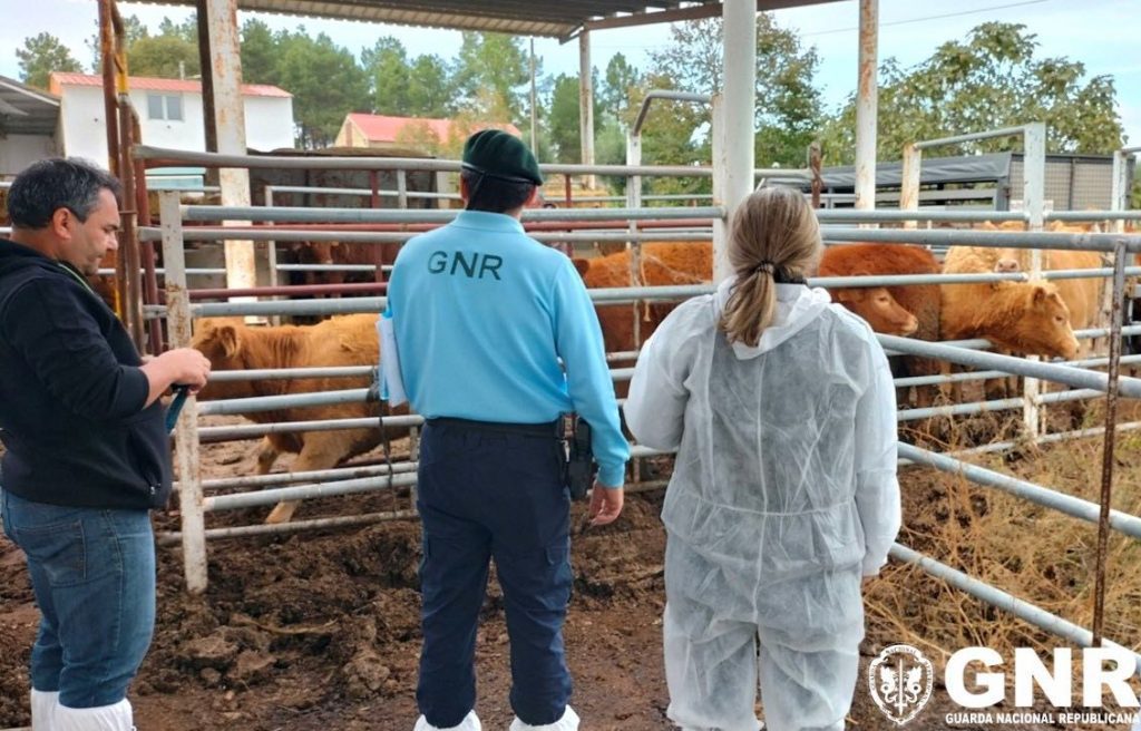 gnr fiscalizacao animais farming 1