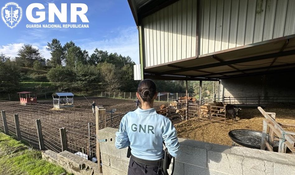 Gnr fiscalização animais
