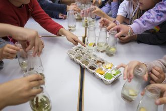 ecologia ambiente agua ambientadores Póvoa de Varzim rates