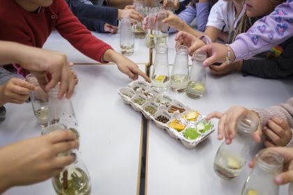 ecologia ambiente agua ambientadores Póvoa de Varzim rates