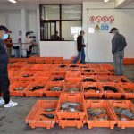 pescadores esposende minho - 1