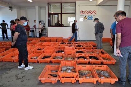pescadores esposende minho - 1