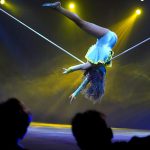 Circo natal Braga