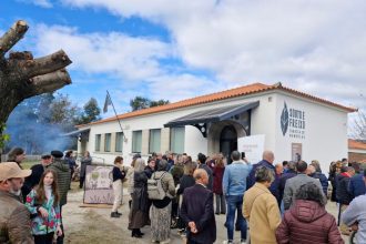Viana fabrica memorias