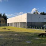Guimaraes hotel bem estar caes gato