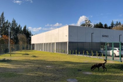 Guimaraes hotel bem estar caes gato