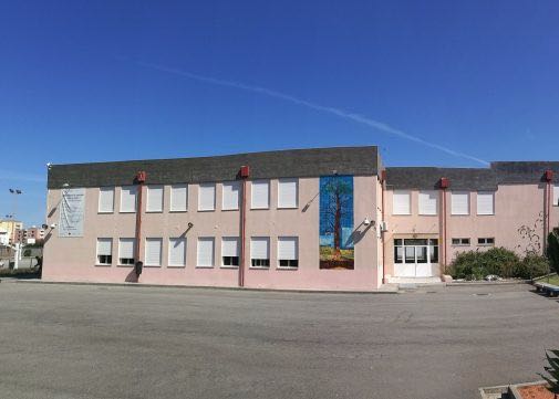 Póvoa de Varzim escolas