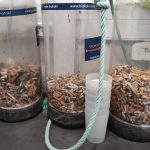 cigarro pontas apanhar chao Braga