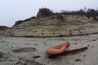 esposende bonanca fao erosao costa