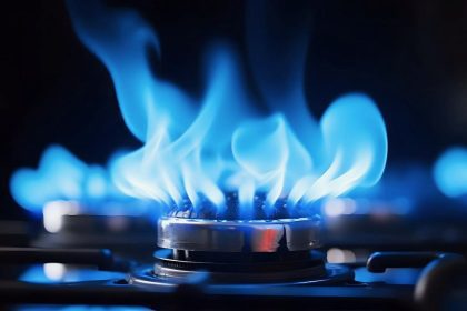 gas natural edp - 1 E-lar candidaturas orçamento