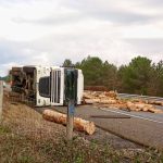 Ponte de Lima A3 acidente