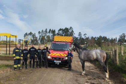 cavalo resgatado do rio cavado em barcelos - 2
