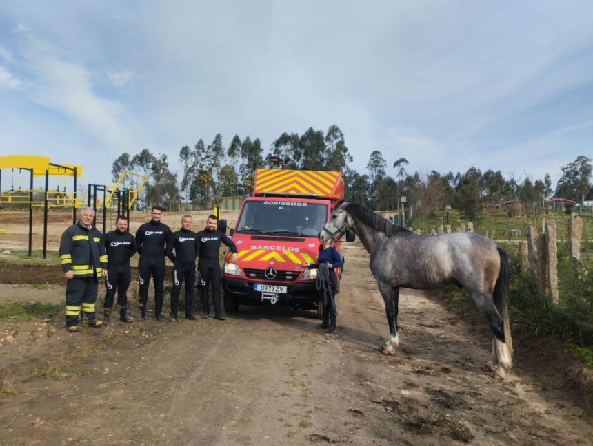 cavalo resgatado do rio cavado em barcelos - 2