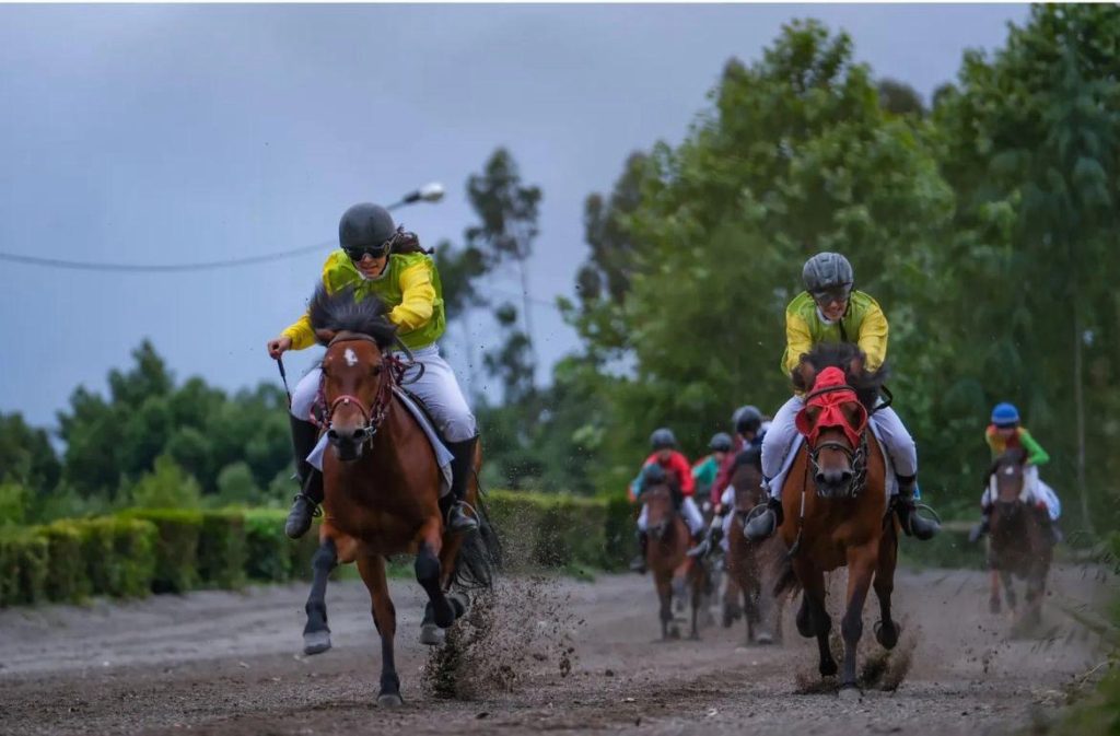 equitacao jockey corrida vitoria guimaraes - 3 Arcos de Valdevez