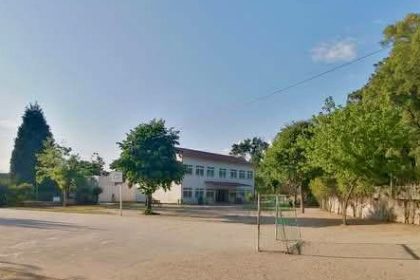 Palmeira Braga escola