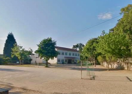 Palmeira Braga escola