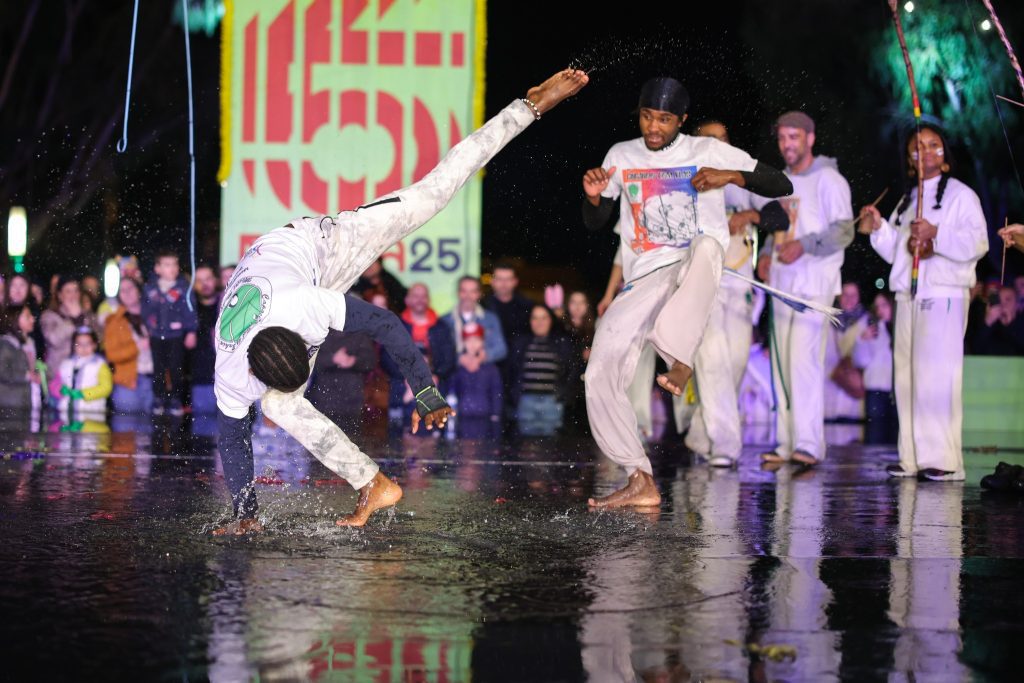 carnaval braga 25