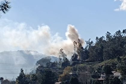 Incêndio queimada queima braga fafe