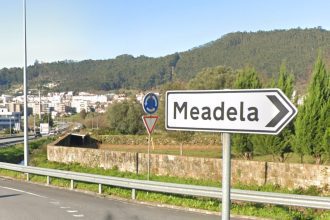 Meadela viana cova