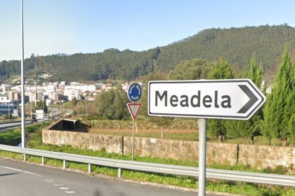 Meadela viana cova
