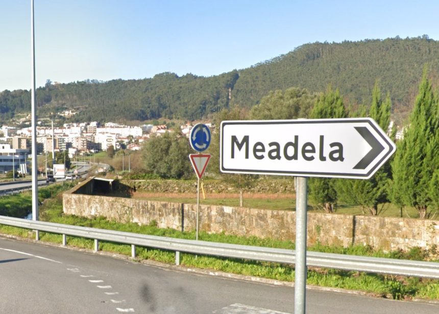 Meadela viana cova