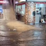Viana shopping conduta