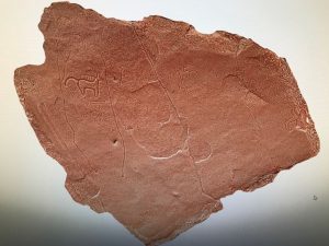 arqueologia UMinho 2