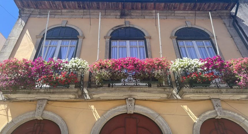 Barcelos florida