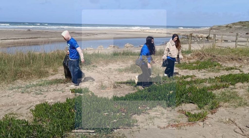 Esposende: Voluntários retiram quase duas toneladas de lixo das praias Esposende ambiente limpeza praias