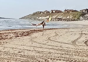 Esposende: Kitsurfer fica sem "asa" e acaba socorrido na Apúlia kitesurf apulia esposende bv fao - 2