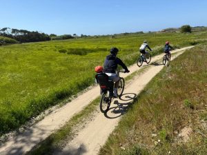 luso galaico esposende btt