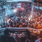 pacha ofir ups 3