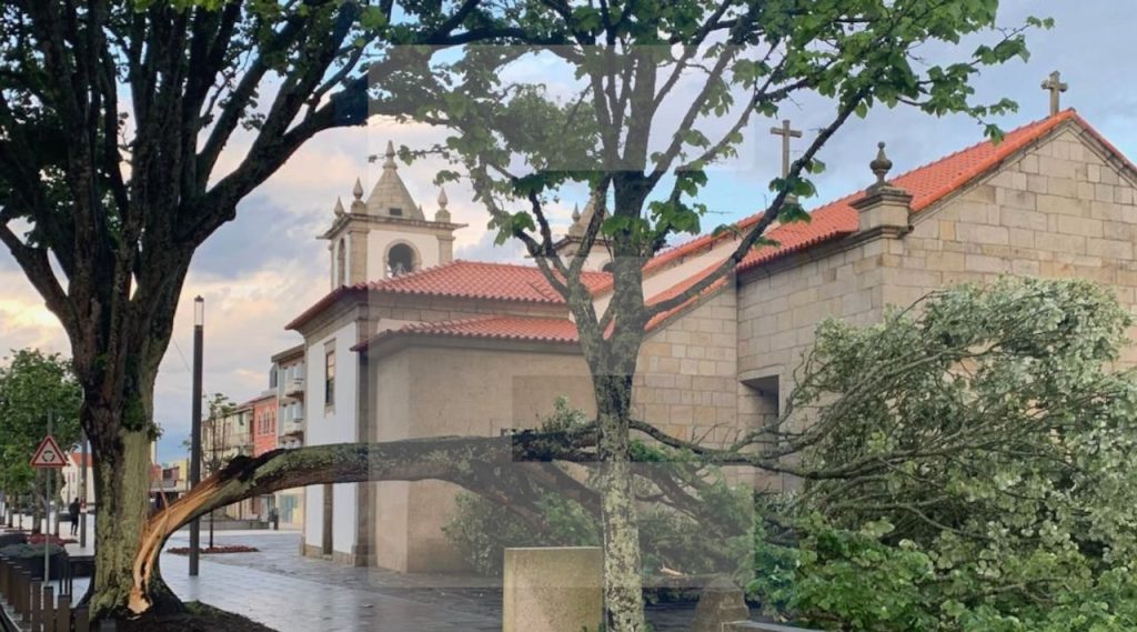 Esposende: Sistema "para-raios" evitou danos na cidade. Mesmo assim uma árvore foi atingida arvore cai esposende para raios
